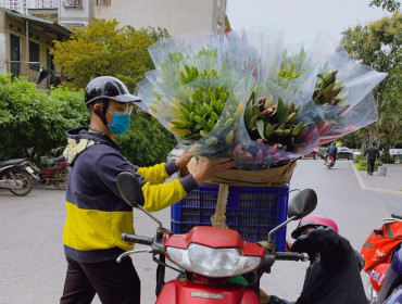 Hoa ly rớt giá thê thảm, cộng đồng mạng kêu gọi 'giải cứu'