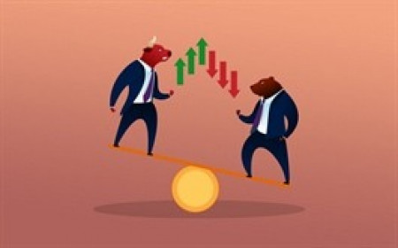 Nhịp đập Thị trường 19/02: Giao dịch cầm chừng, VN-Index giảm điểm nhẹ