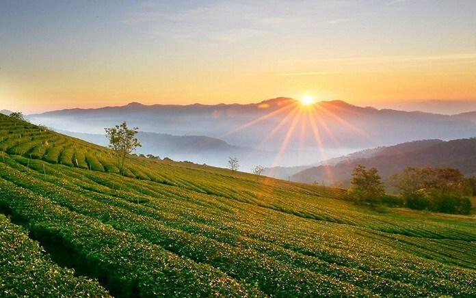 Đất nông nghiệp khác đất thổ cư thế nào?