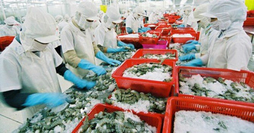 Vì sao Minh Phú thoát khỏi vụ kiện lẩn tránh thuế chống bán phá giá vào Mỹ?