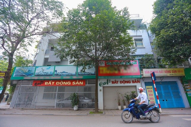 Thanh lý ồ ạt căn hộ cao cấp, cắt lỗ tới 800 triệu đồng: Có nên "bắt đáy"?