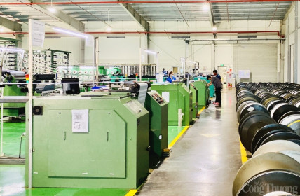 Bình Dương: Thu hút 1,3 tỷ USD vào các khu công nghiệp năm 2021