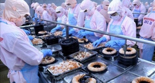 Tăng trưởng 42%, lợi nhuận của Minh Phú vẫn thua xa mục tiêu