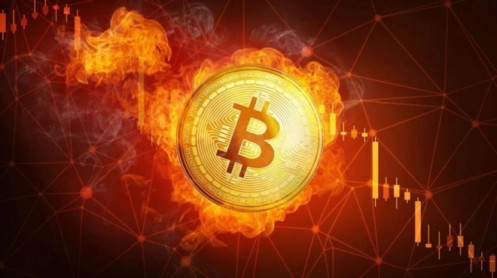 Giá Bitcoin hôm nay 24/2: Thị trường nhuốm máu, Bitcoin có ‘đổ vỡ’?
