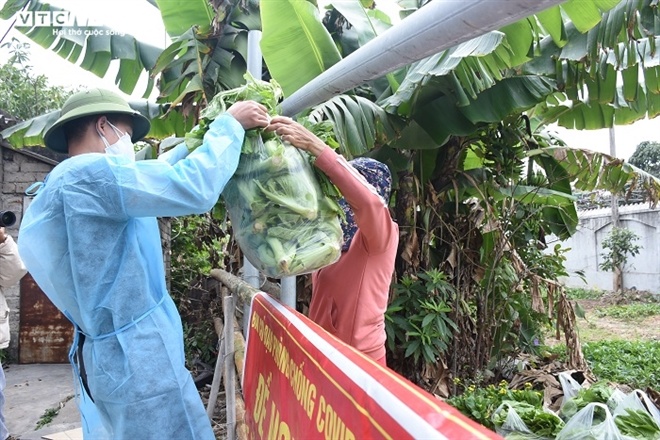 Nông sản Hải Dương chờ 'giải cứu': Khó khăn chồng khó khăn