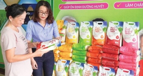 Tập đoàn Lộc Trời: Chờ hiệu quả từ quá trình tái cấu trúc