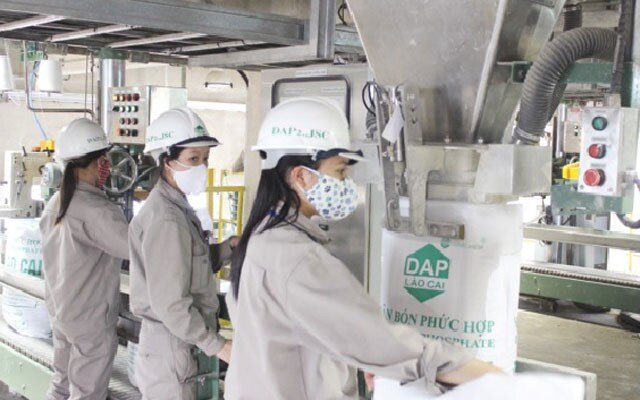 Giá phân bón tăng sốc, cổ phiếu cũng "sốt" với kỳ vọng của nhà đầu tư vì những lý do này