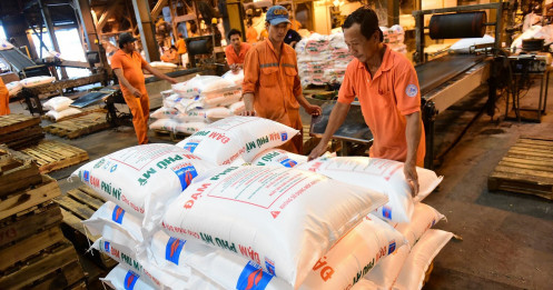 Giá phân bón tăng sốc, cổ phiếu cũng "sốt" với kỳ vọng của nhà đầu tư vì những lý do này
