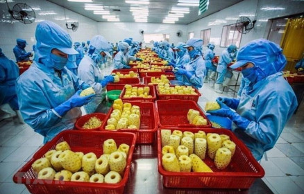 Đến 2030, giá trị kim ngạch xuất khẩu rau quả đạt 8 10 tỷ USD