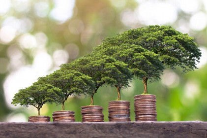 Nhận định thị trường phiên giao dịch chứng khoán ngày 30/3: Chốt lời quay vòng một phần nhỏ