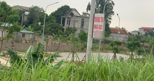 Nửa đêm vẫn có người đập cửa hỏi mua, sốt đất "tàn phá" nhiều khu vực
