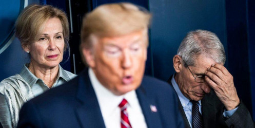 Ông Trump nổi giận ‘phản đòn’ 2 chuyên gia y tế hàng đầu Mỹ