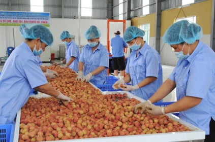 Tăng trưởng nông nghiệp quý I/2021 cả nước đạt 3,16%