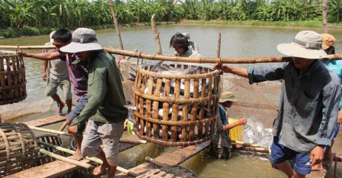 Xuất khẩu thủy sản đặt kỳ vọng khởi sắc từ quý 2