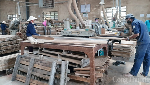 Đồ nội thất bằng gỗ của Việt Nam chỉ chiếm 1,9% tại thị trường EU 27