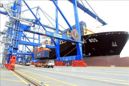 Xuất khẩu gặp khó vì giá cước cao, thiếu container lạnh