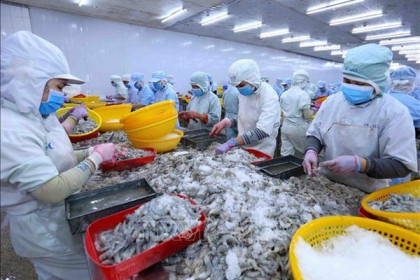 Kích cầu đầu tư trong khối doanh nghiệp sản xuất cho xuất khẩu