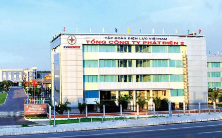 Chậm cổ phần hóa, thoái vốn doanh nghiệp tại EVN