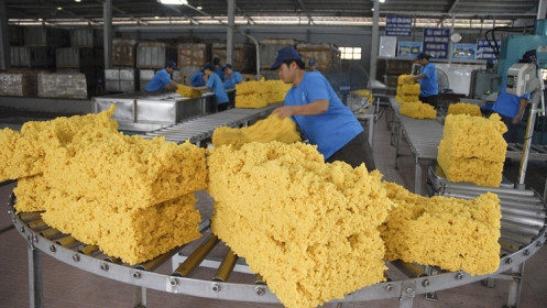 Giá cao su sẽ tiếp tục tăng