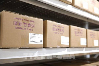 Hơn 100 nước được tiếp nhận vaccine theo cơ chế COVAX