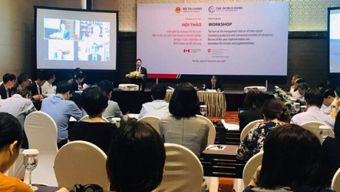 Nhà nước cũng chỉ là cổ đông, cần trao sự linh hoạt cho cấp quản lý doanh nghiệp