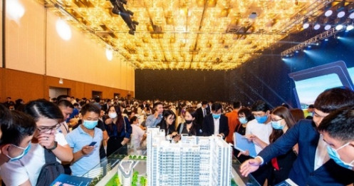 Trước thềm IPO, DXS đang kinh doanh thế nào?