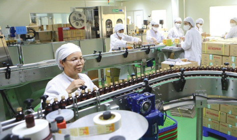 Cuộc chạy vượt rào của các doanh nghiệp niêm yết, nhìn từ trường hợp của Traphaco và FPT