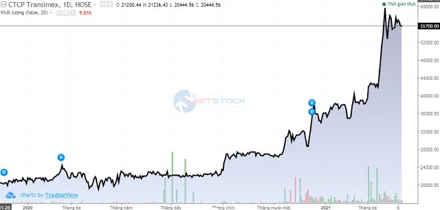 Transimex đặt kế hoạch lãi trước thuế 2021 tăng 20%