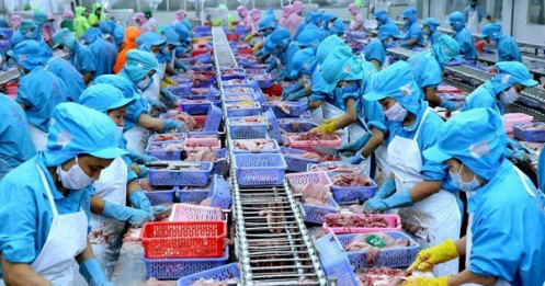 Cơ hội và thách thức của chuỗi cung ứng thủy sản Việt Nam trong bối cảnh đại dịch covid-19
