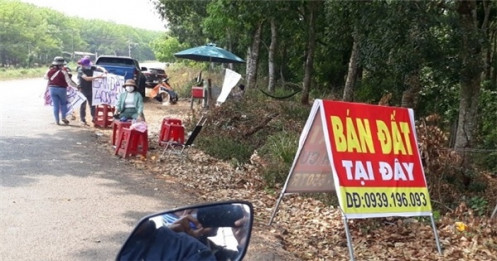 Doanh nghiệp bị vạ lây vì sốt đất