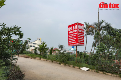 Giá đất tăng ‘chóng mặt’, áp thuế ra sao để tránh đầu cơ?