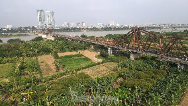 Cận cảnh những lô đất "đắc địa" nằm trong quy hoạch sông Hồng