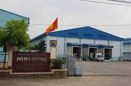 Soi hồ sơ Cty Hùng Vương nợ thuế 22 tỷ, bị dừng làm thủ tục hải quan