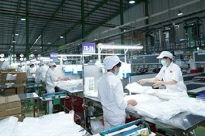 AAA đấu giá 75 triệu cp vào ngày 04/05