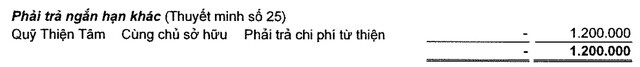 Vingroup của tỷ phú Phạm Nhật Vượng nộp thuế và làm từ thiện thế nào?
