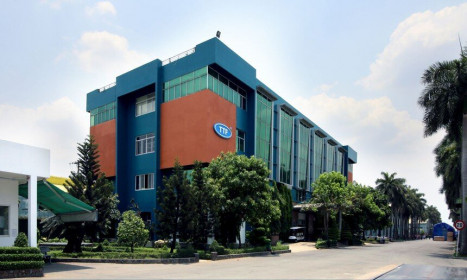 Kỹ nghệ Gỗ Trường Thành (TTF) tiếp tục bị kiểm toán nghi ngờ khả năng hoạt động liên tục