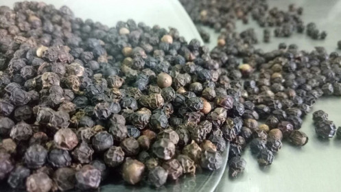 Giá tiêu hôm nay 14/4: Thế giới nối dài đà tăng, cao nhất 74.000đ/kg; tín hiệu vui từ xuất khẩu hạt tiêu Việt