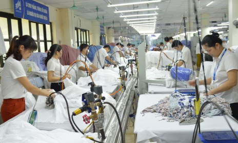 Tổng Giám đốc May 10: Đề xuất xã hội hoá nguồn vaccine Covid-19
