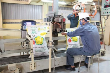 Xuất khẩu sản phẩm chăn nuôi tăng mạnh