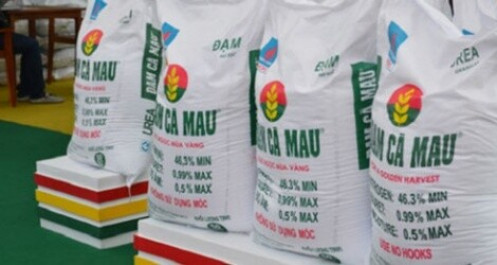 Đạm Cà Mau bấp bênh quyết toán thuế