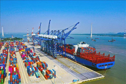 Đề xuất phạt nặng việc tự ý tăng giá, phụ thu dịch vụ vận tải biển