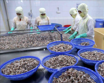 Kiên Giang: Xuất khẩu tăng gần 16%