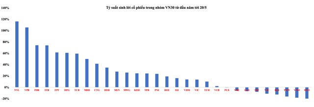 Nhà đầu tư chứng khoán "khóc" với tên tuổi một thời Vinamilk (VNM), Coteccons (CTD)...