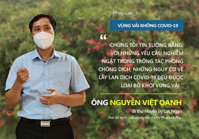 Vải thiều Lục Ngạn – “Trái vải không Covid-19”
