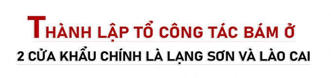 Vải thiều Lục Ngạn – “Trái vải không Covid-19”