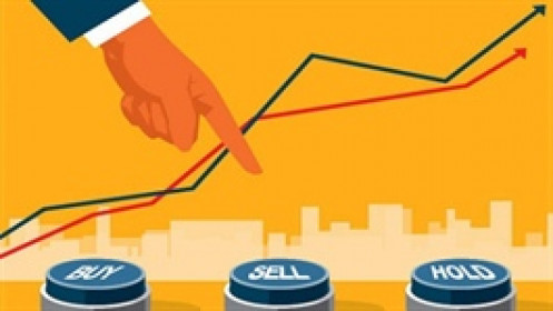 Dragon Capital không mua thêm cổ phiếu trong tuần qua