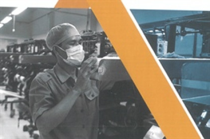 Danameco không muốn chia cổ tức 2020, tiếp tục rót thêm 50 tỷ đồng đầu tư sản xuất