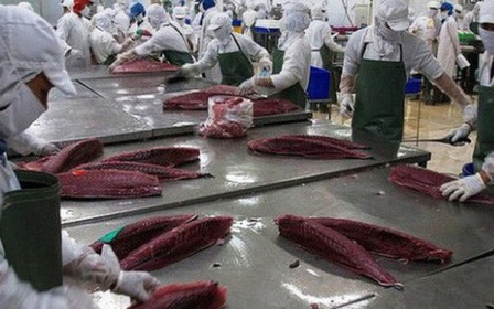 Xuất khẩu cá ngừ tăng mạnh 50% trong tháng 4/2021