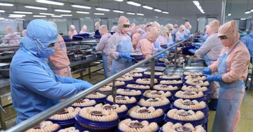 Cục Thú y: Sữa bột phải kiểm dịch! VASEP và các hiệp hội khác: Vô lý!