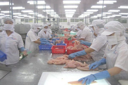 Trung Quốc tiếp tục là thị trường xuất khẩu cá tra lớn nhất của Việt Nam
